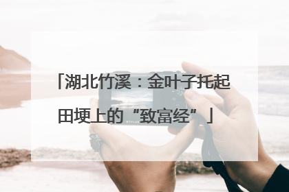 湖北竹溪：金叶子托起田埂上的“致富经”