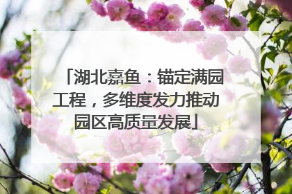 湖北嘉鱼：锚定满园工程，多维度发力推动园区高质量发展