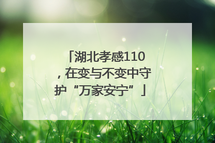 湖北孝感110，在变与不变中守护“万家安宁”