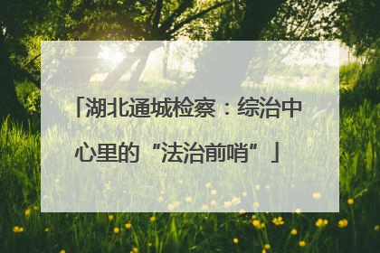 湖北通城检察：综治中心里的“法治前哨”