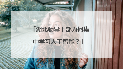 湖北领导干部为何集中学习人工智能？