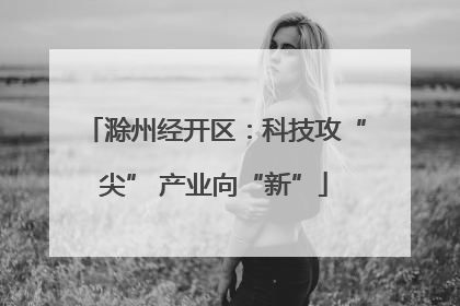 滁州经开区：科技攻“尖” 产业向“新”