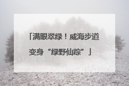 满眼翠绿！威海步道变身“绿野仙踪”