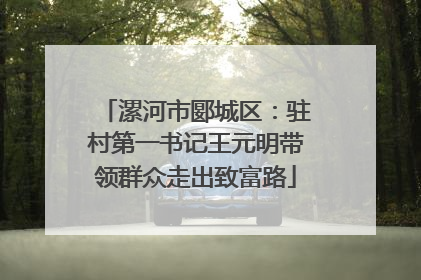 漯河市郾城区：驻村第一书记王元明带领群众走出致富路