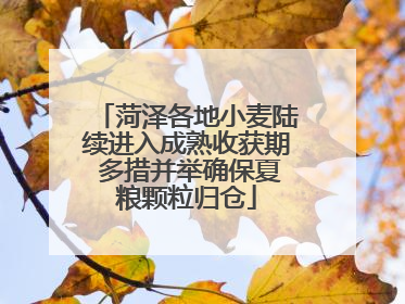 菏泽各地小麦陆续进入成熟收获期 多措并举确保夏粮颗粒归仓