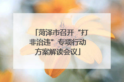 菏泽市召开“打非治违”专项行动方案解读会议