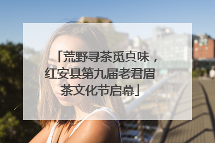 荒野寻茶觅真味，红安县第九届老君眉茶文化节启幕