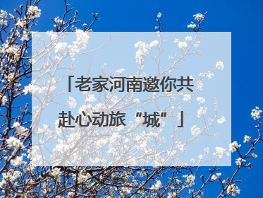 老家河南邀你共赴心动旅“城”