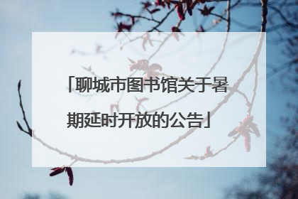 聊城市图书馆关于暑期延时开放的公告