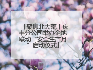 聚焦北大荒丨庆丰分公司举办企地联动“安全生产月”启动仪式