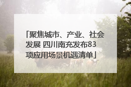 聚焦城市、产业、社会发展 四川南充发布83项应用场景机遇清单