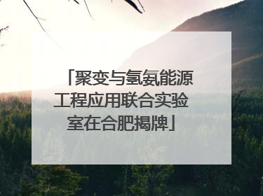 聚变与氢氨能源工程应用联合实验室在合肥揭牌