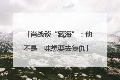 肖战谈“藏海”：他不是一味想要去复仇