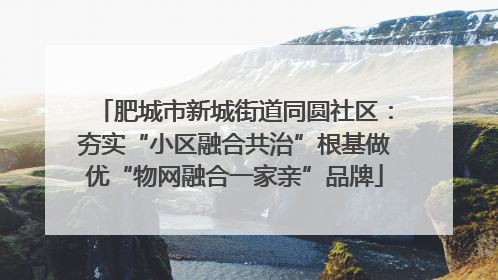 肥城市新城街道同圆社区：夯实“小区融合共治”根基做优“物网融合一家亲”品牌