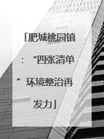 肥城桃园镇：“四张清单”环境整治再发力