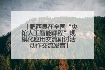 肥西县在全国“央馆人工智能课程”规模化应用交流研讨活动作交流发言