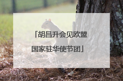 胡昌升会见欧盟国家驻华使节团