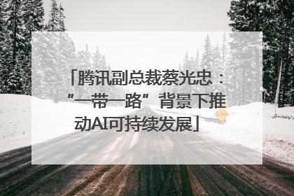 腾讯副总裁蔡光忠：“一带一路”背景下推动AI可持续发展