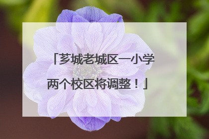 芗城老城区一小学两个校区将调整！