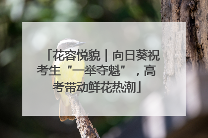 花容悦貌｜向日葵祝考生“一举夺魁”，高考带动鲜花热潮