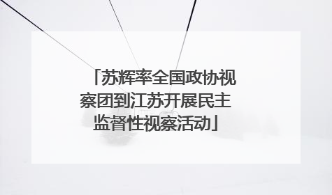 苏辉率全国政协视察团到江苏开展民主监督性视察活动