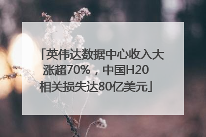 英伟达数据中心收入大涨超70%，中国H20相关损失达80亿美元