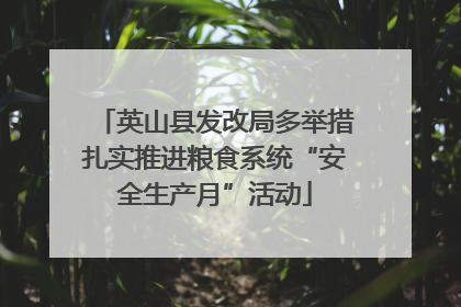 英山县发改局多举措扎实推进粮食系统“安全生产月”活动