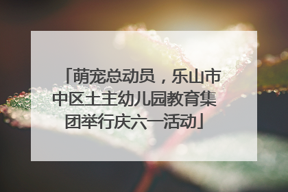 萌宠总动员，乐山市中区土主幼儿园教育集团举行庆六一活动