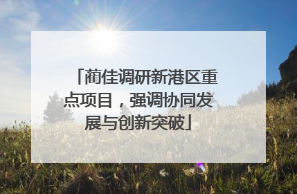 蔺佳调研新港区重点项目，强调协同发展与创新突破