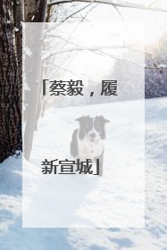 蔡毅，履新宣城