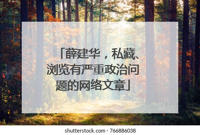 薛建华，私藏、浏览有严重政治问题的网络文章