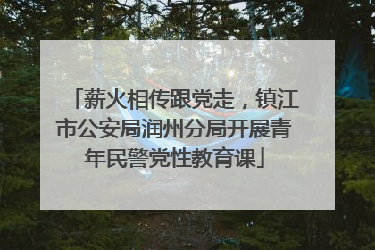 薪火相传跟党走，镇江市公安局润州分局开展青年民警党性教育课