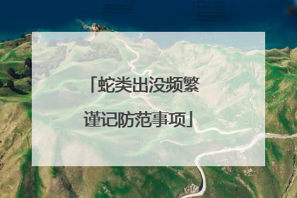 蛇类出没频繁 谨记防范事项