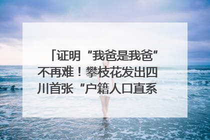 证明“我爸是我爸”不再难！攀枝花发出四川首张“户籍人口直系亲属关系谱”