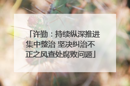 许勤：持续纵深推进集中整治 坚决纠治不正之风查处腐败问题