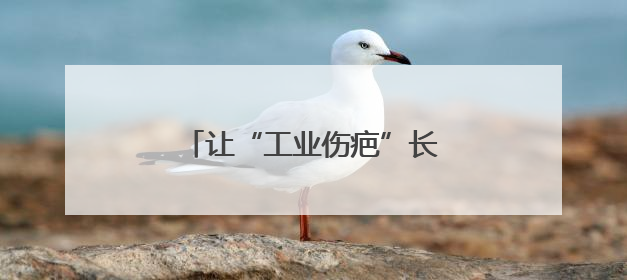 让“工业伤疤”长出春天——辽宁加快废弃矿山治理观察