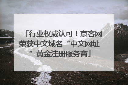 行业权威认可！京客网荣获中文域名“中文网址”黄金注册服务商
