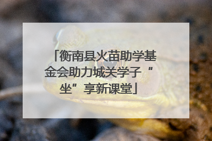 衡南县火苗助学基金会助力城关学子“坐”享新课堂