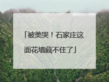 被美哭！石家庄这面花墙藏不住了