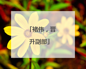 褚伟，晋升副部