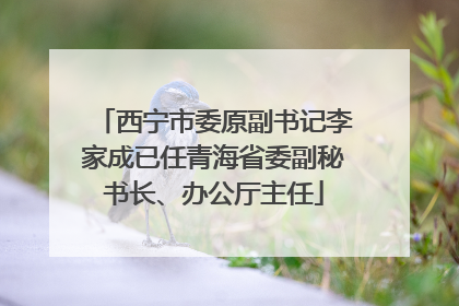 西宁市委原副书记李家成已任青海省委副秘书长、办公厅主任