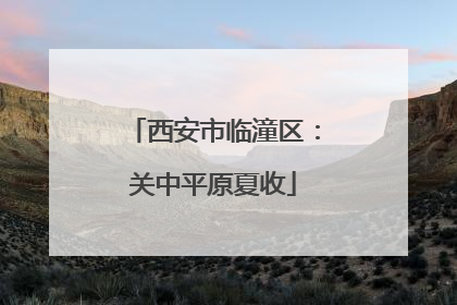 西安市临潼区：关中平原夏收