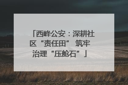 西峰公安：深耕社区“责任田” 筑牢治理“压舱石”