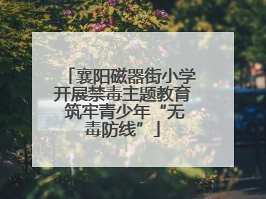 襄阳磁器街小学开展禁毒主题教育 筑牢青少年“无毒防线”