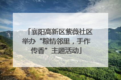 襄阳高新区紫薇社区举办“粽情邻里，手作传香”主题活动