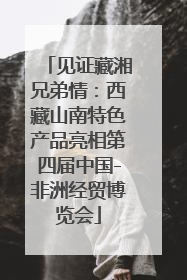 见证藏湘兄弟情：西藏山南特色产品亮相第四届中国-非洲经贸博览会