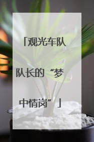 观光车队队长的“梦中情岗”
