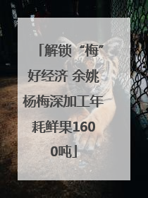 解锁“梅”好经济 余姚杨梅深加工年耗鲜果1600吨