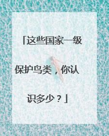 这些国家一级保护鸟类，你认识多少？