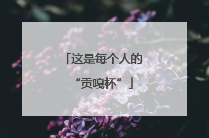 这是每个人的“贡嘎杯”